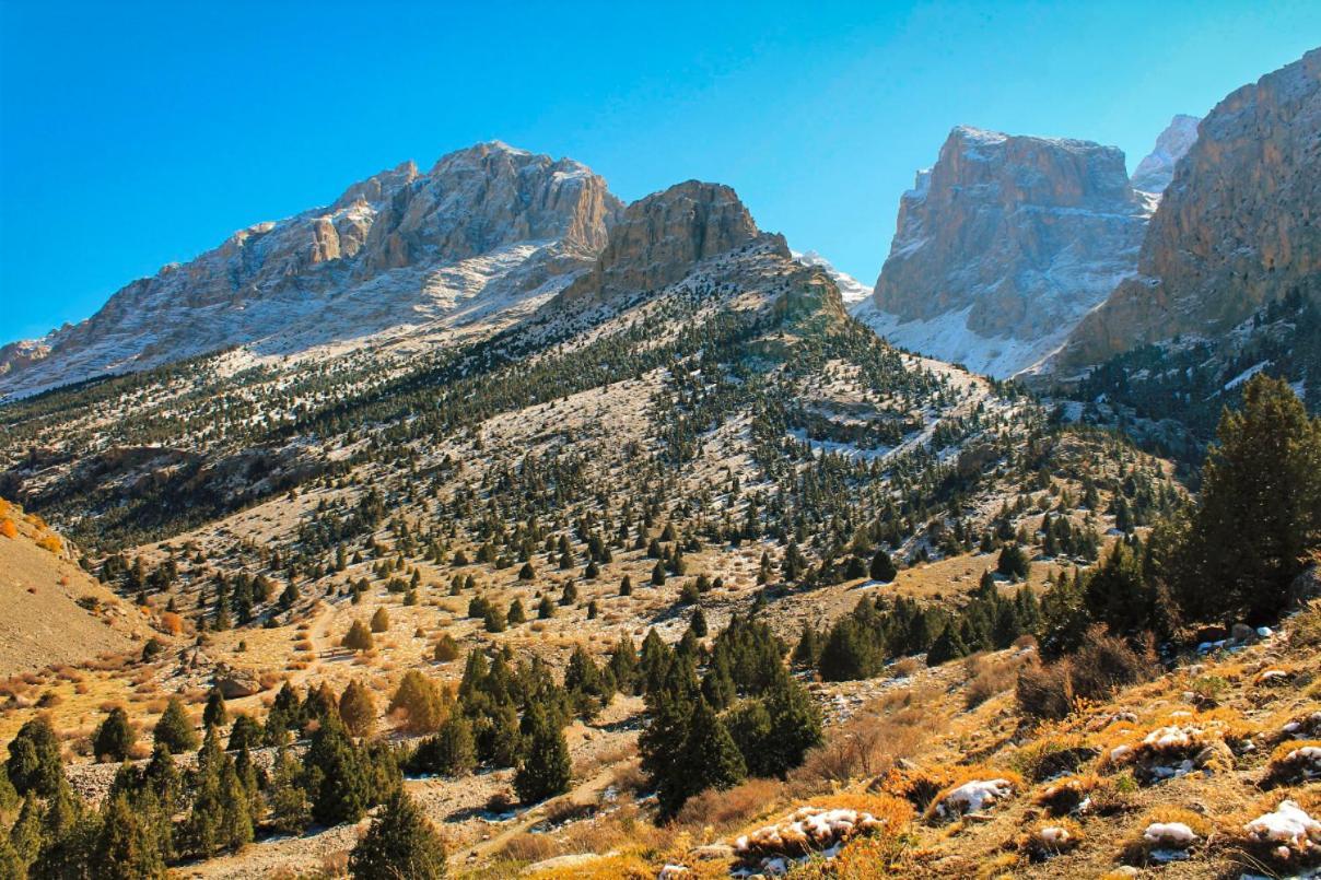 Aladaglar Mountain Hostel Cukurbag  Екстер'єр фото